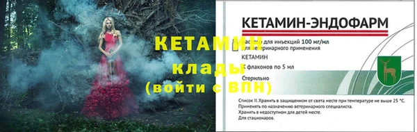 ПСИЛОЦИБИНОВЫЕ ГРИБЫ Гусь-Хрустальный