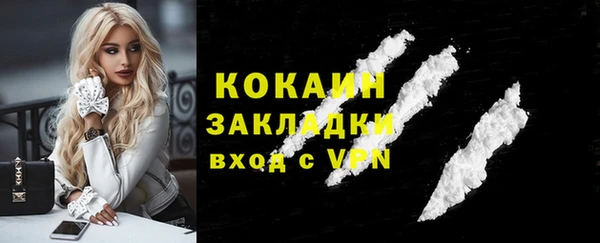 гидропоника Гусев