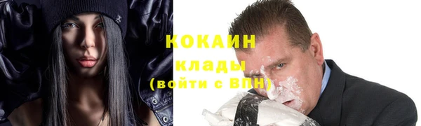 ПСИЛОЦИБИНОВЫЕ ГРИБЫ Гусь-Хрустальный