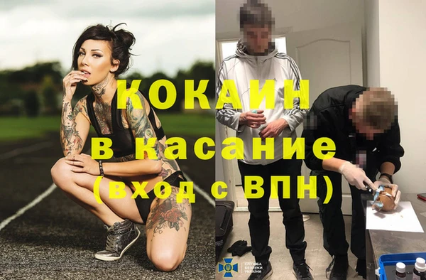гидропоника Гусев