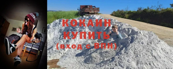 ПСИЛОЦИБИНОВЫЕ ГРИБЫ Гусь-Хрустальный