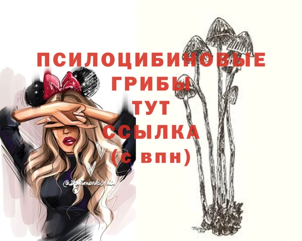 ПСИЛОЦИБИНОВЫЕ ГРИБЫ Гусь-Хрустальный