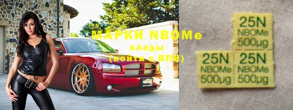 ПСИЛОЦИБИНОВЫЕ ГРИБЫ Гусь-Хрустальный