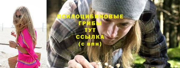мдпв Россошь