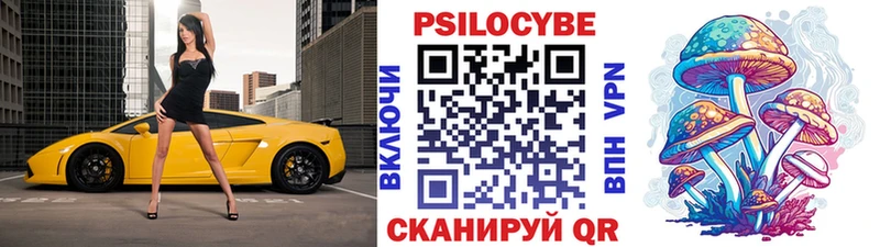 Псилоцибиновые грибы Psilocybe  Купить где  Зубцов 